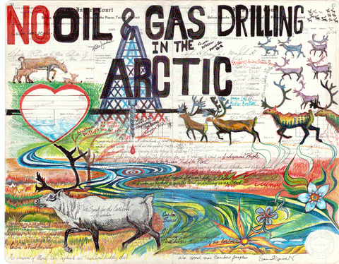 Caribou No Oil and Gas Drilling